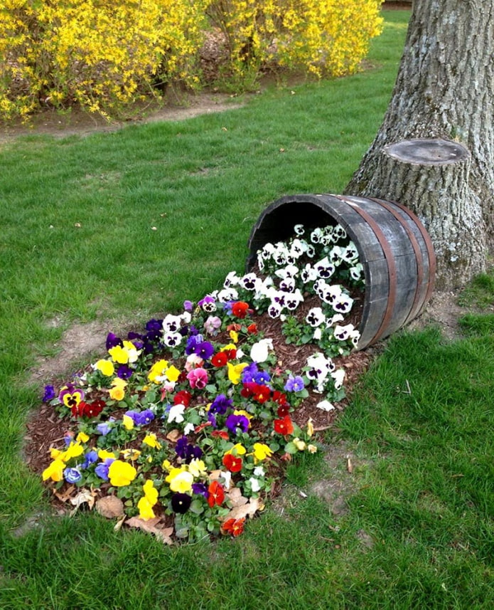 parterre de fleurs insolite sur le site