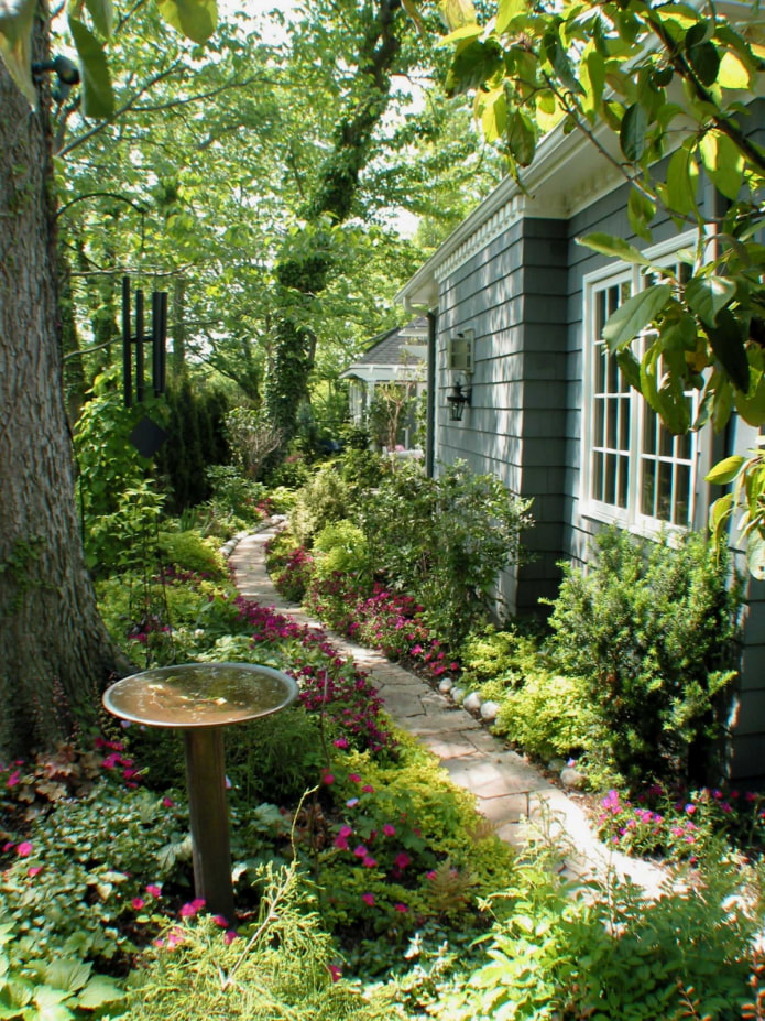 chalet d'été envahi par la végétation