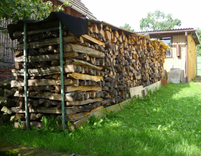 homme des bois à la campagne