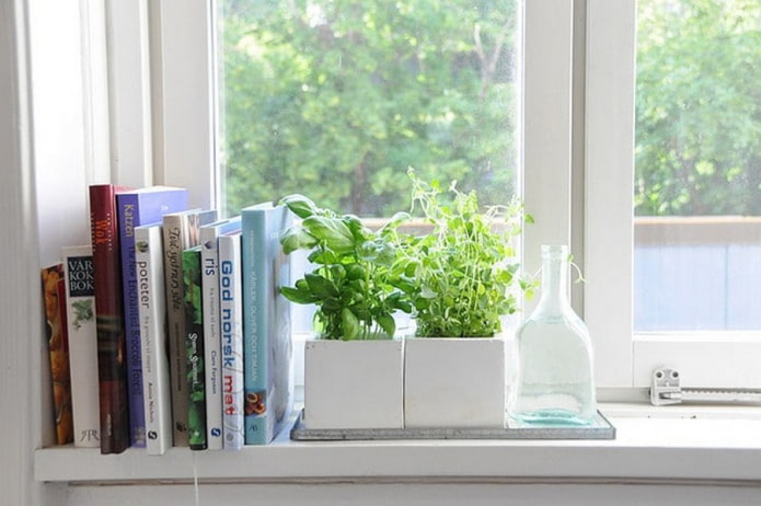 livres et plantes sur le rebord de la fenêtre