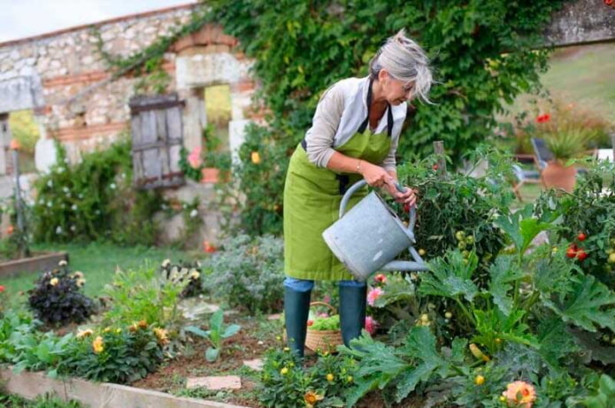 arroser le jardin