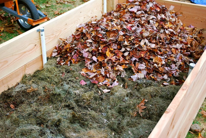 Feuilles dans une boîte