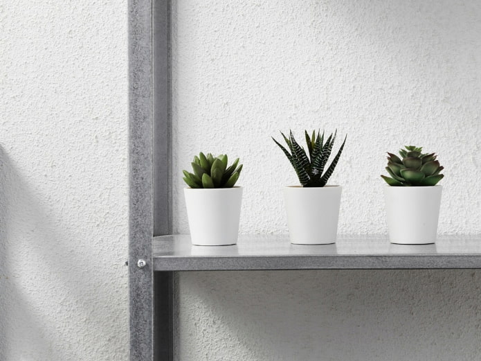 succulentes en plastique