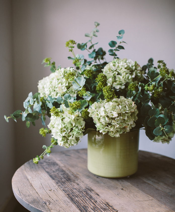 hortensia non naturel