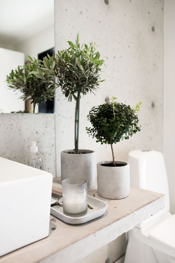 ficus en plastique dans la salle de bain