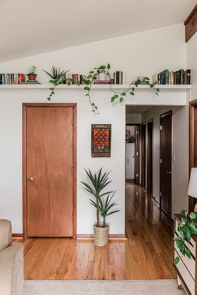 Plantes sur une étagère sous le plafond