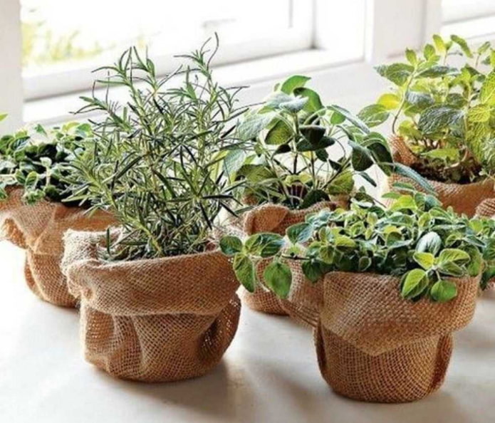 toile de jute sur un pot