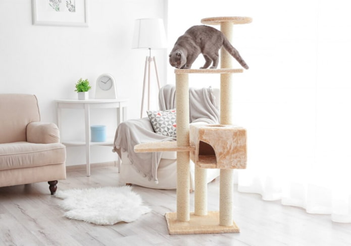 système de jeu pour chats