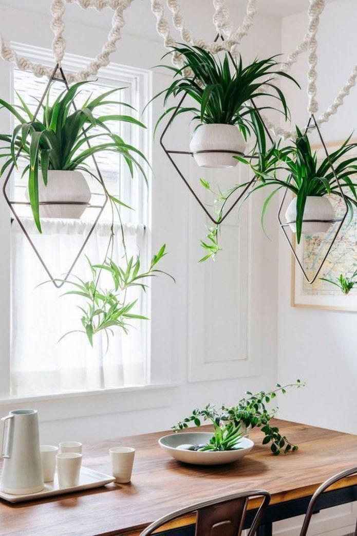 des fleurs pendent au-dessus de la table à manger