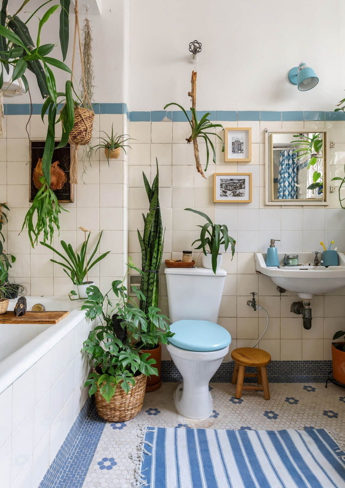 Plantes dans une salle de bain avec fenêtre