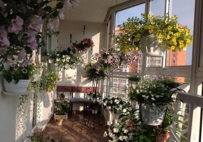 fleurs sur le balcon