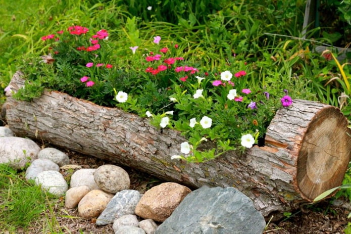 Parterre de fleurs sur le pont