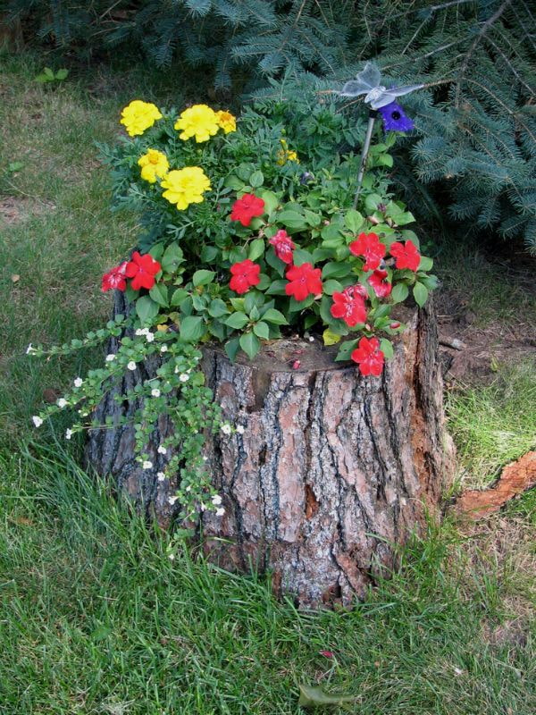 Fleurs dans la souche d'arbre