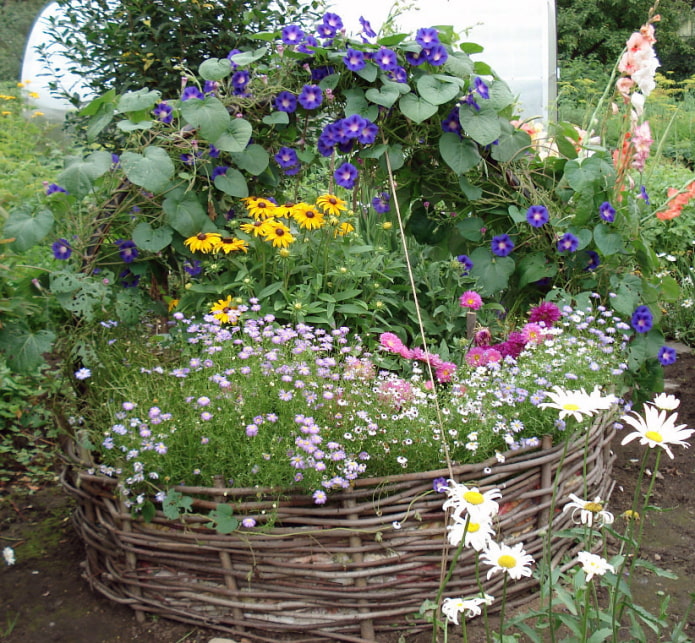 Tisser autour du parterre de fleurs