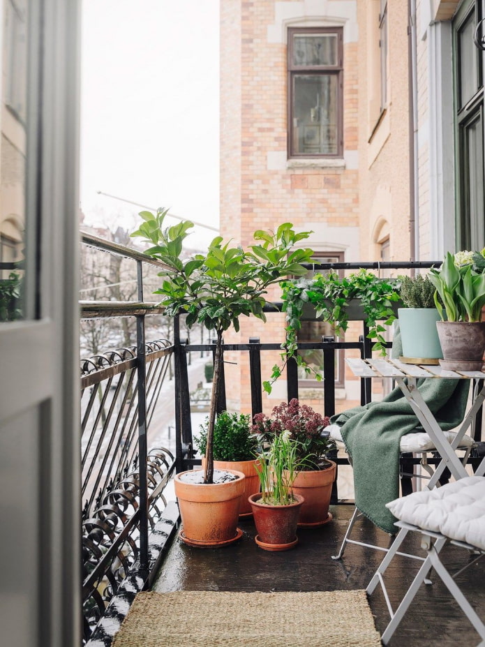 des fleurs sur une loggia ouverte