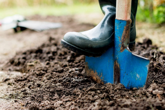 Top dressing et creusement du sol