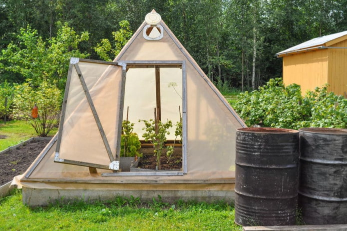 Greenhouse pyramid