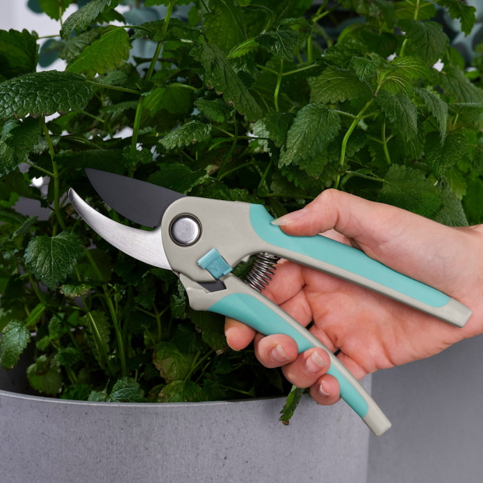 Secateurs