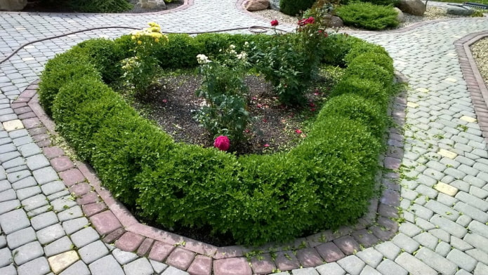 parterre triangulaire avec haies arrondies