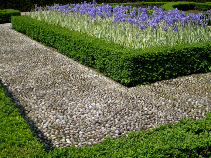 allée de galets autour d'un parterre d'iris