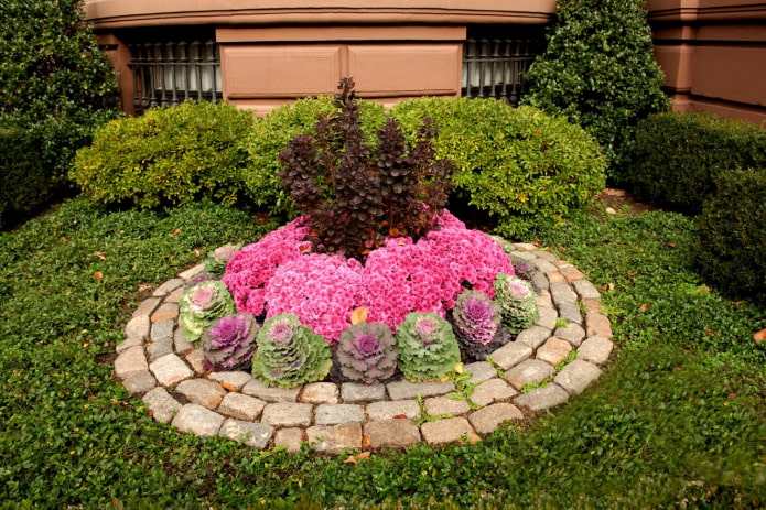 pigilin para sa isang bilog na bulaklak ng tatlong mga hilera ng cobblestones