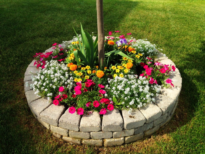 parterre de fleurs rond avec côtés pavés