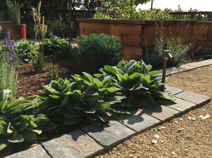 bordure de jardin de fleurs en carreaux carrés