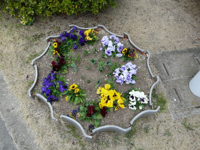 bordure de carreaux pour un parterre de fleurs rond