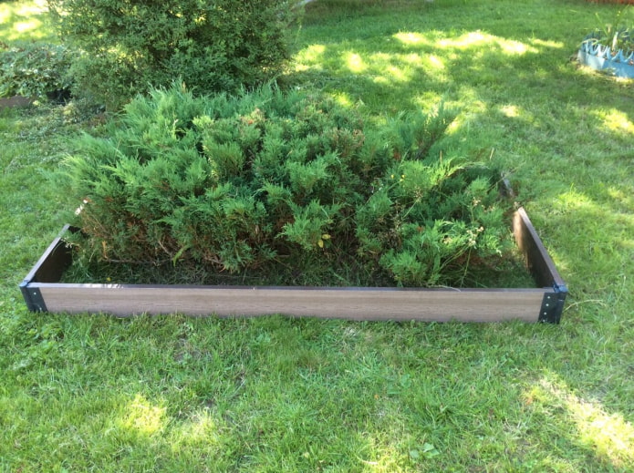 côté rectangulaire pour un parterre de fleurs fait de planches fixées avec des boucles de fer