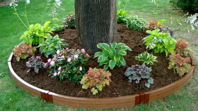 bordure ronde pour un parterre de fleurs fait de planches reliées par des boucles de fer