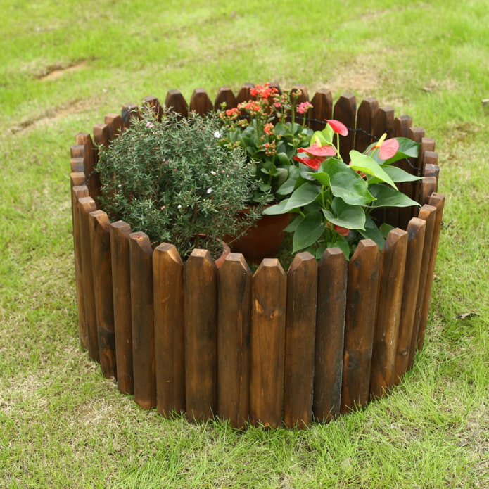 une clôture en planches autour d'un mini parterre de fleurs