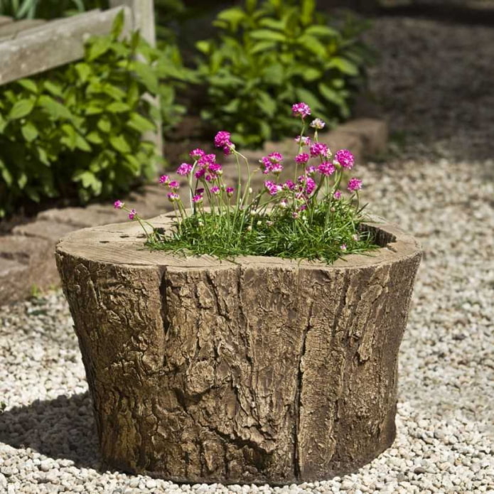 mini plate-bande à l'intérieur de la souche