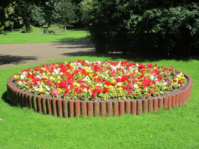 parterre de fleurs rond avec une bordure de palissade