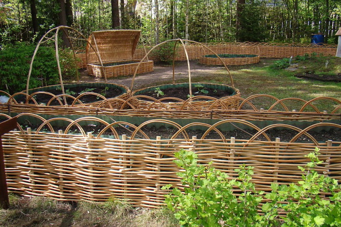 mga flowerbeds-basket at wicker na bakod na gawa sa mga ubas