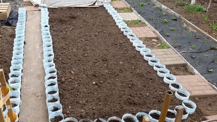 bordure de grandes bouteilles en plastique coupées pour planter des fleurs