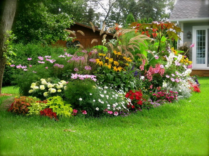 bulaklak sa mixborder