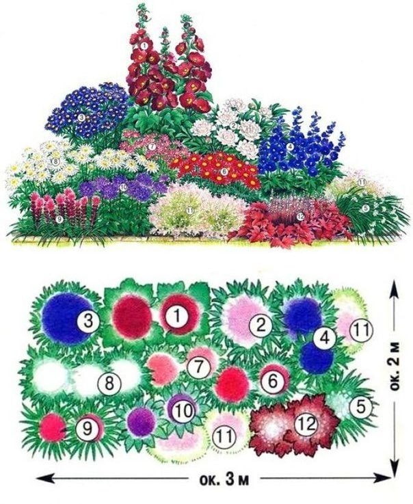 mixborder ng bulaklak