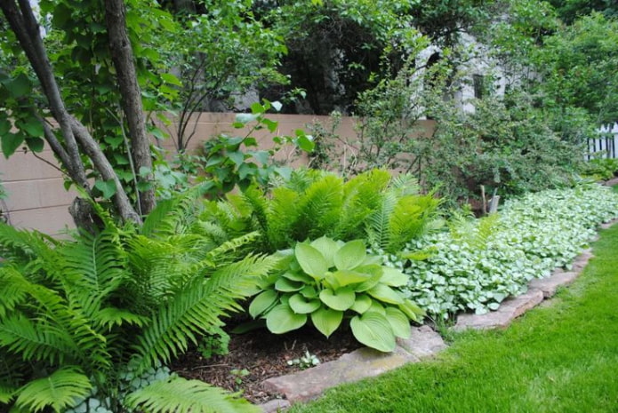 Jardin nécessitant peu d'entretien