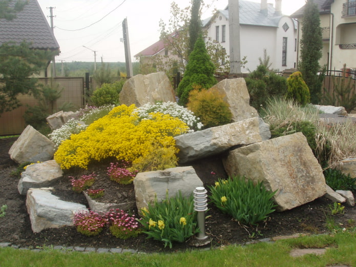 pavés dans le jardin