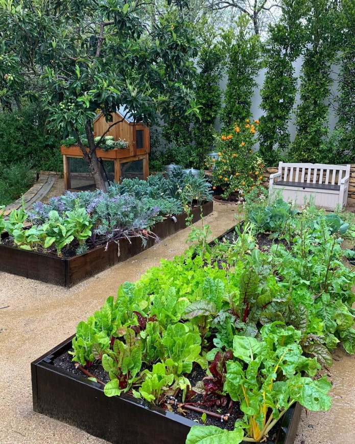 Banc de jardin dans le potager