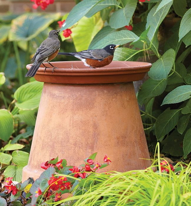 Bol à boire d'un pot