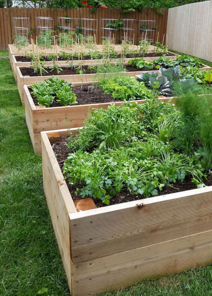 Lits de jardin avec côtés en bois