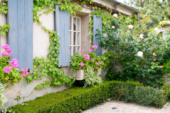 Loches à la maison