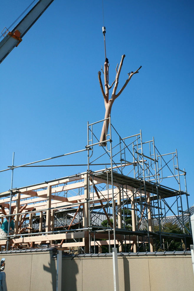 arbre à l'intérieur de la maison