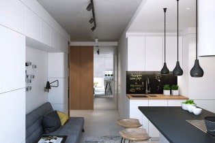 Conception moderne d'un appartement d'une pièce de 43 m². m du studio Geometrium