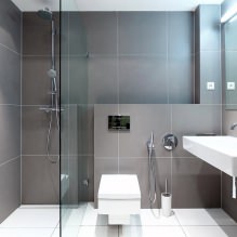 Mga grey tile sa banyo: mga tampok, larawan-1