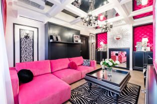 Design de salon en rose: 50 exemples de photos