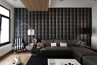 Décoration murale dans le salon : choix de couleurs, finitions, mur d'accent à l'intérieur