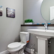 Intérieur de petite toilette: caractéristiques, design, couleur, style, plus de 100 photos-23