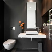 Intérieur de petite toilette: caractéristiques, design, couleur, style, plus de 100 photos-5